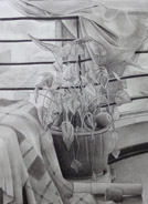 插画学校-美术基础8