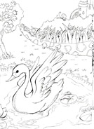 插画学校-张莉-鹅